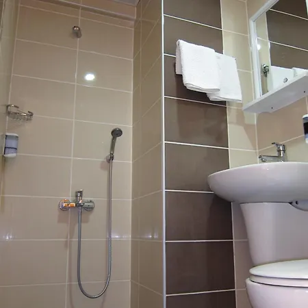 酒店 瑟根特酒店 *